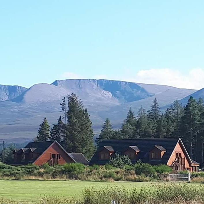 Badaguish Forest Lodges And Camping Pods Aviemore Exterior photo