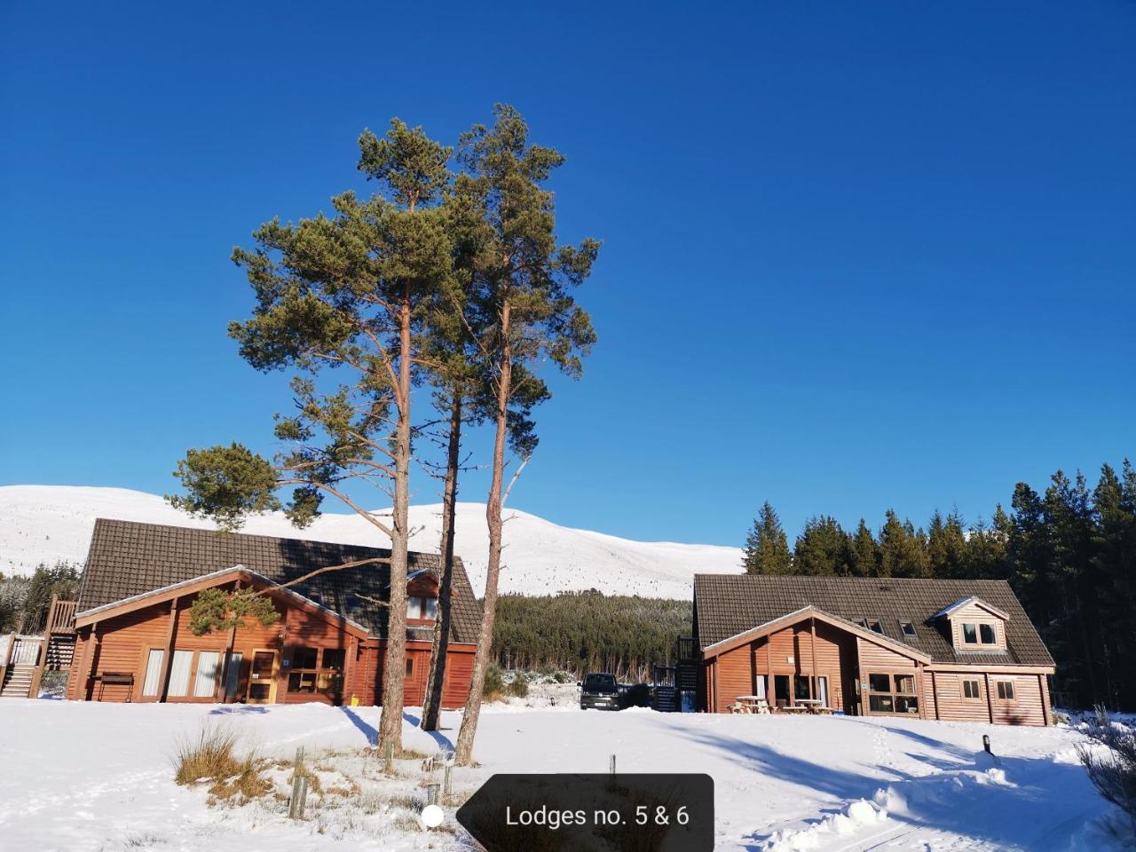 Badaguish Forest Lodges And Camping Pods Aviemore Exterior photo