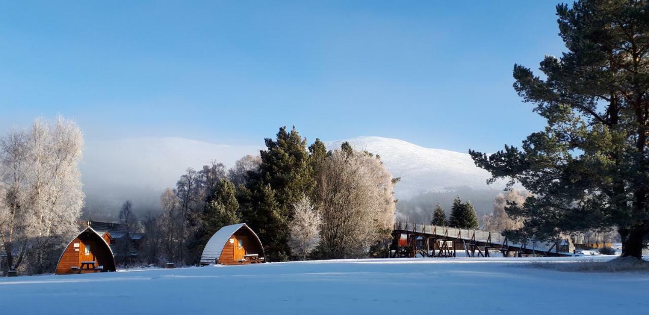 Badaguish Forest Lodges And Camping Pods Aviemore Exterior photo
